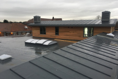 Ascot-Roofing
